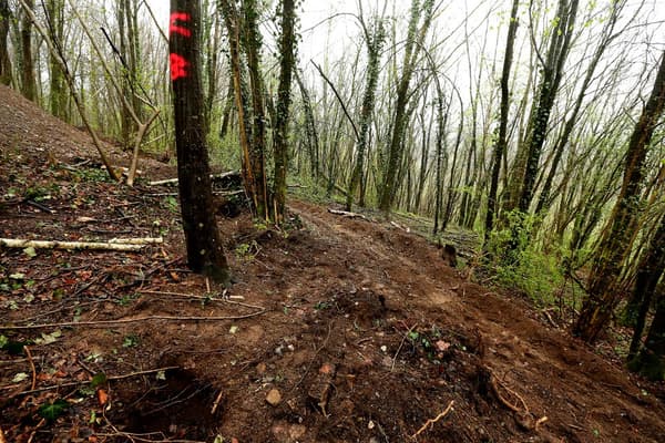 Une zone de fouille marquée par le gendarmerie, à Issancourt-et-Rumel, le 10 avril 2021. Une zone de fouille marquée par le gendarmerie, à Issancourt-et-Rumel, le 10 avril 2021.