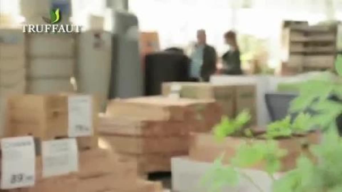 placeholder video
