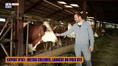 Expert d'ici : Metha Collines, lauréat du prix BTE