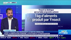 Cette entreprise (Ynsect) produit des ingrédients à partir d'insectes