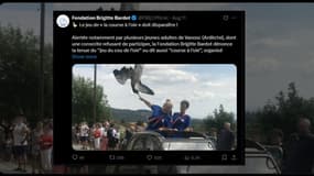 Capture d'écran du poste de la Fondation Brigitte Bardot sur X le 11 août 2025, plaidant pour la fin du jeu du "cou de l'oie" à Vanosc (Ardèche). 