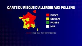 Plus de la moitié de la France est classée rouge sur la carte du risque d'allergie aux pollens