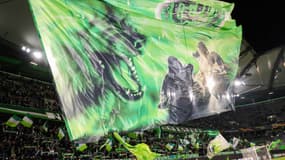 Supporters Wolfsbourg