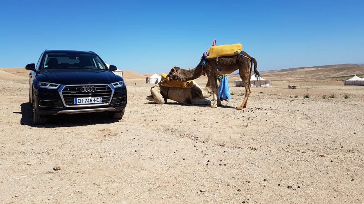 Une consommation limitée qui impressionne même les dromadaires. Une consommation limitée qui impressionne même les dromadaires.