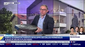 La pépite : Purple Alternative Surface développe des dalles perméables à base de déchets plastiques, par Noémie Wira - 10/05