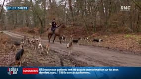 Bien-être animal: le gouvernement va-t-il s’attaquer aux chasseurs?