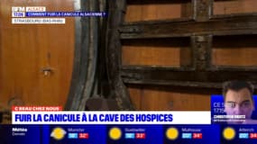 C beau chez nous: découverte de la cave des hospices de Strasbourg