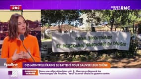 RMC s’engage pour vous : Des Montpelliérains se battent pour sauver leur chêne - 03/03
