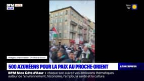 Nice: des manifestants appellent à la paix au Proche-Orient