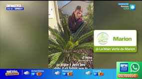 Samba...Rio de Janeiro ! - La météo de Colas du mardi 2 décembre 2025