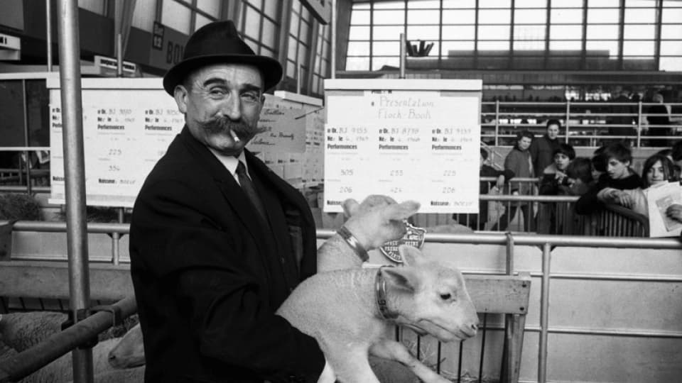 Un éleveur présent de ses deux animaux lors du Salon de l'agriculture en 1971.