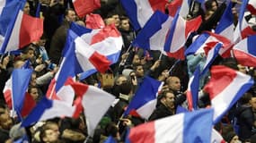 Les supporters de l'équipe de France