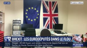 La drôle de rentrée des eurodéputés britanniques, qui ne devraient siéger que quelques semaines