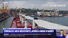 Exportation des céréales ukrainiennes: le témoignage d'un exploitant français en Ukraine