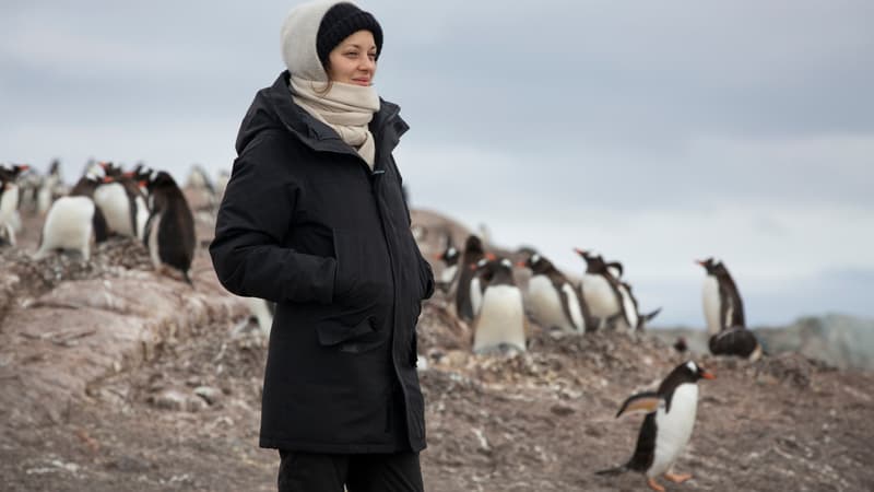 Marion Cotillard en Antarctique