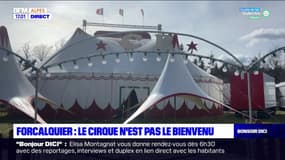 Forcalquier: le cirque Zavatta n'est pas le bienvenu