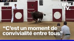 ROBIN DE BFM - Dans les Landes, la nouvelle génération perpétue la tradition des fêtes de villages 