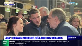 Renaud Muselier réclame des mesures contre les attaques des loups