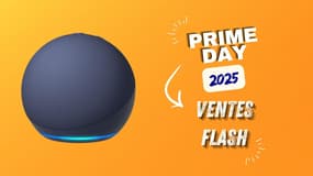 Pack Echo Dot 5