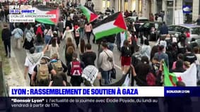 Lyon: un nouveau rassemblement de soutien à la Palestine s'est tenu mercredi soir