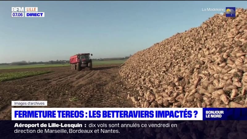 Fermeture Tereos: les betteraviers impactés?