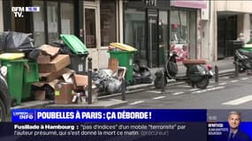 "Voir des poubelles à l'entrée d'un magasin d'alimentation, c'est pas beau à voir" raconte des commerçants exaspérés par la grève des éboueurs