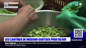 Alpes-Maritimes: du bio dans les cantines de Mouans-Sartoux depuis des années
