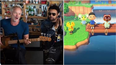 Sting et Shaggy - Animal Crossing