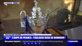 Coupe de France : Toulouse rose de bonheur - 30/04