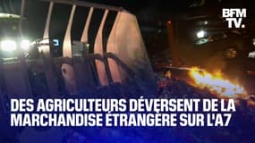  Des agriculteurs déversent des fruits et légumes d'origine espagnole sur l'autoroute A7 