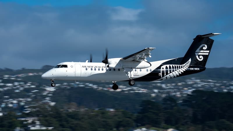 Près de 250 euros pour quatre heures: Air New Zealand met en place des capsules-dortoirs en classe économique entre New York et Auckland
