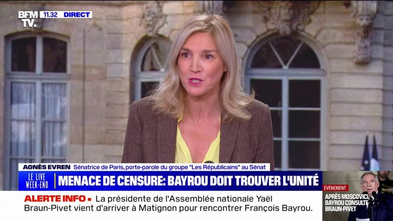 Gouvernement Bayrou: 