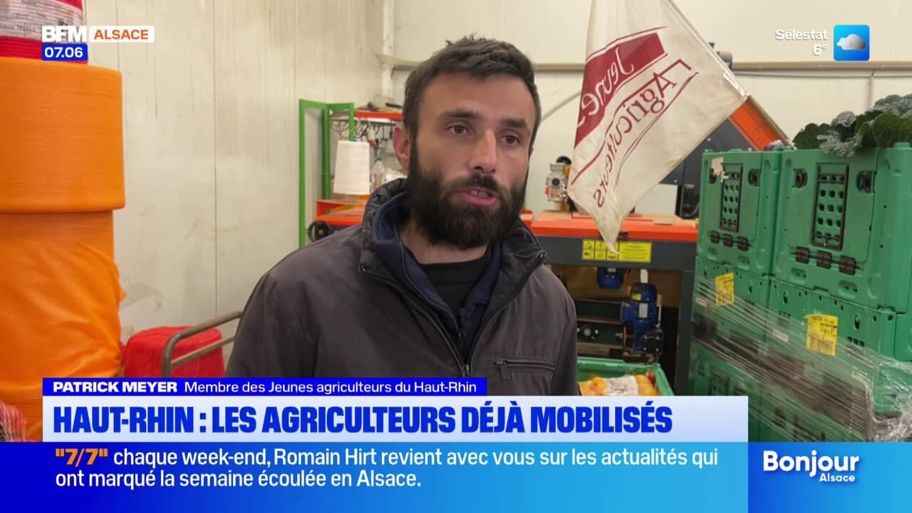 Haut-Rhin: les Jeunes agriculteurs déjà mobilisés