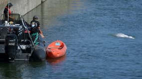 Des membres de l'ONG Sea Shepherd surveille le béluga, égaré dans la Seine, le 8 août 2022 à l'écluse de Notre-Dame-de-la-Garenne, dans l'Eure
