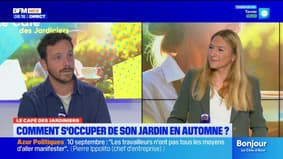 Le café des jardiniers avec Julien Gortina : comment s'occuper de son jardin en automne ?