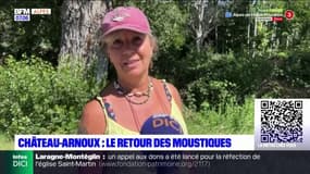 Les moustiques ont fait leur retour en nombre à Château-Arnoux