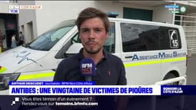 Antibes: une vingtaine de victimes de piqûres pendant la Fête de la musique