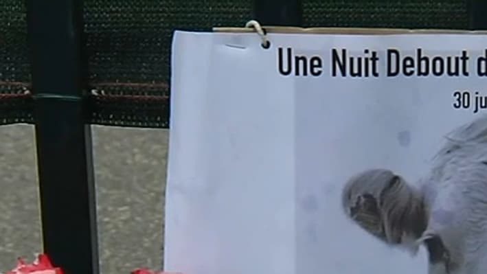La maltraitance animale est au coeur de cette "Nuit debout"