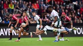 Toulouse 38-10 Pau : "On n'arrêtera pas de jouer", la mise au point de Mola après 40 minutes ratées