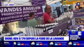 Alpes-de-Haute-Provence: la 100e édition de la Foire de la lavande a commencé