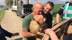 Coincé dans une canalisation, Billy le chien est sauvé