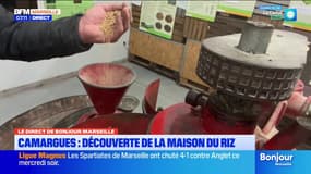 Camargues: plongée au cœur de la Maison du riz