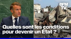 Occupation de Gaza, colonisation, gouvernance… La Palestine remplit-elle les conditions pour exister en tant qu'État?  