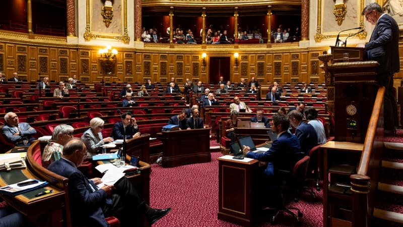 "Un texte dont nous savons tous qu'il n'est pas cohérent avec l'analyse stratégique": le Sénat se déchire sur le montant de la rallonge budgétaire pour les armées