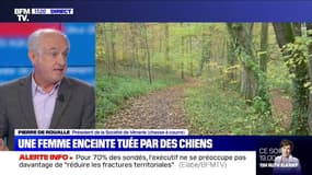 Femme enceinte tuée par des chiens: le président de la Société de vènerie explique que les chiens de la victime "étaient très agressifs"