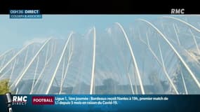"Le projet d’une ZAD n’est pas impossible du tout": des écologistes s'opposent à la construction d'une serre géante dans le nord de la France