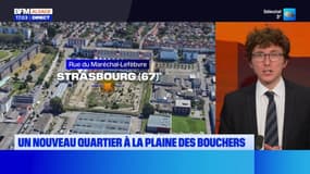Strasbourg: pour pallier la pénurie de logements, un nouveau quartier plaine des Bouchers