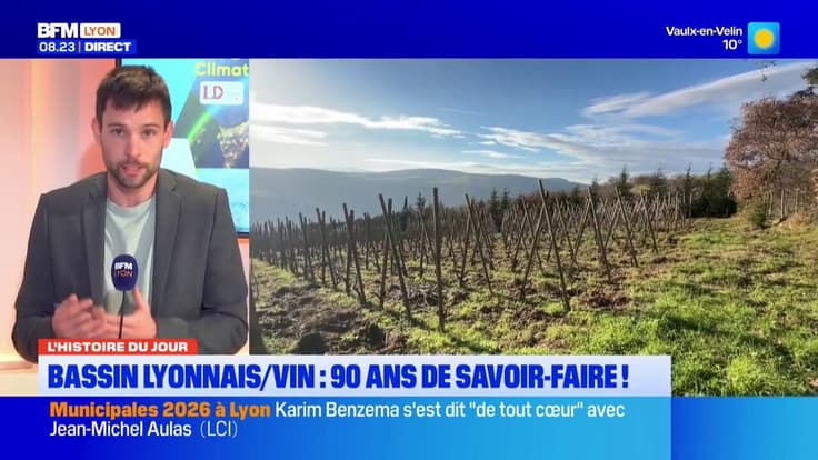 Vin : 6 appellations du bassin lyonnais fêtent les 90 ans de leurs AOC