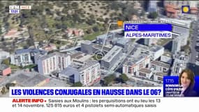 Femme blessée par balle à Nice: son compagnon interpellé