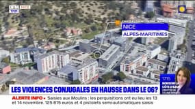 Femme blessée par balle à Nice: son compagnon interpellé